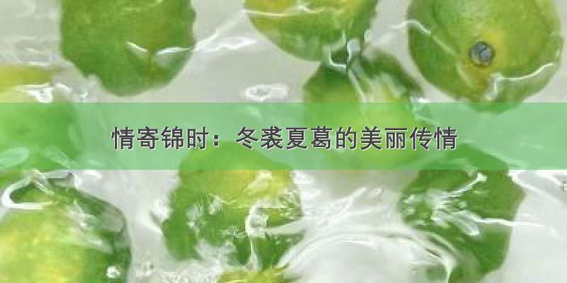 情寄锦时：冬裘夏葛的美丽传情