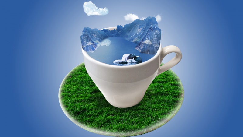 探索无公害茶叶的病虫害防治方案